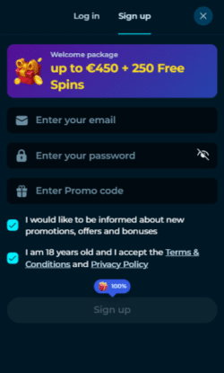 Stap 2 — Gegevens invullen